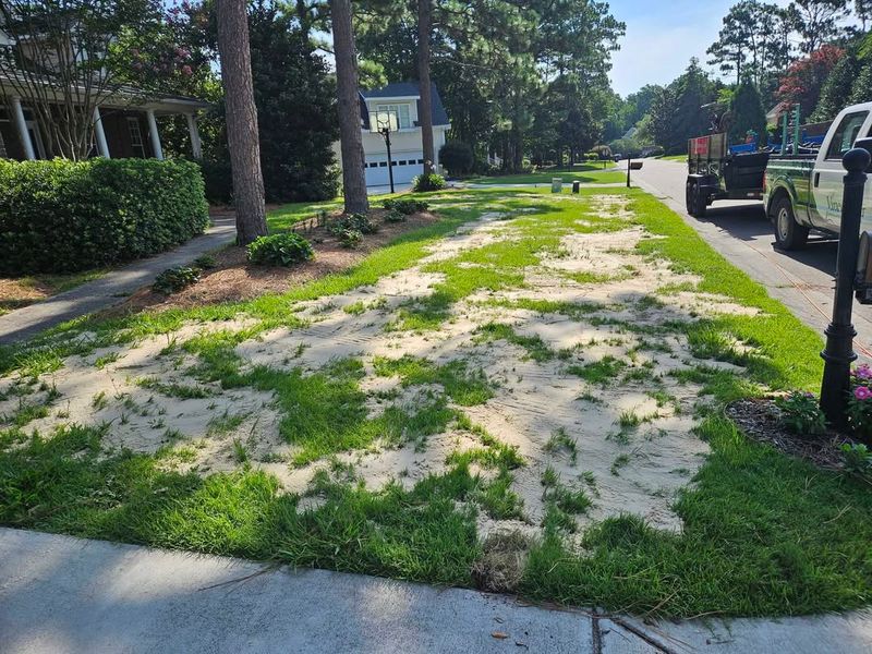 Sandy Soil Drains Faster Than Lawn Roots Prefer