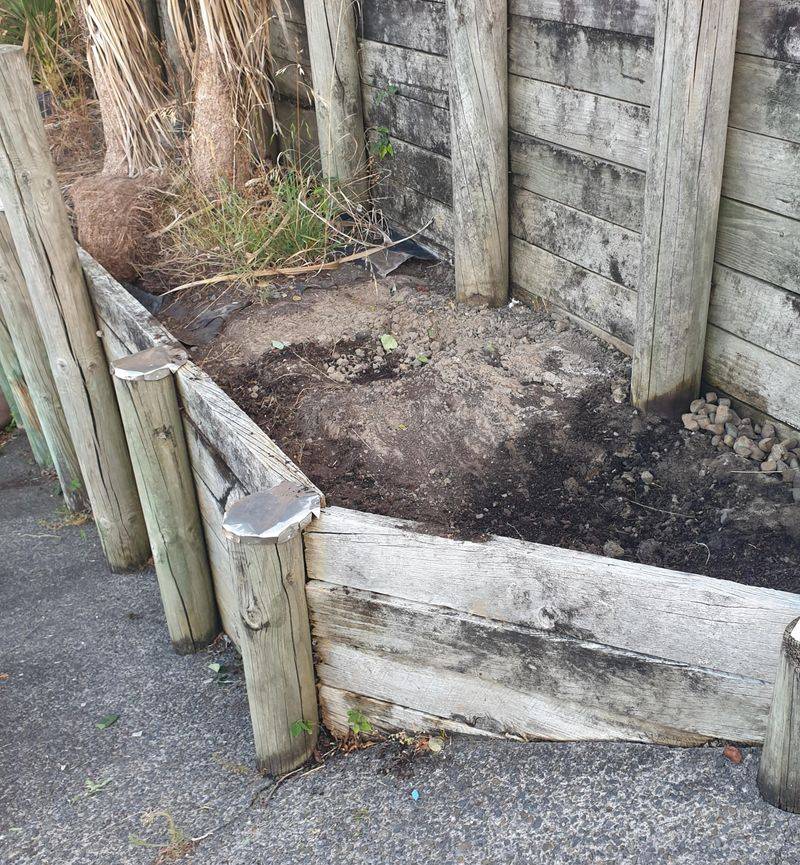 Sandy Soil Dries Out Faster Than Gardeners Expect Sandy Soil Dries Out Faster Than Gardeners Expect
