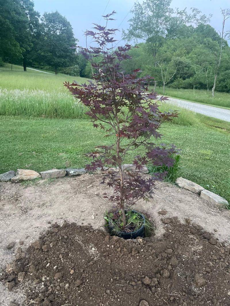 Sandy Soil Dries Out Faster Than June Gardens Expect