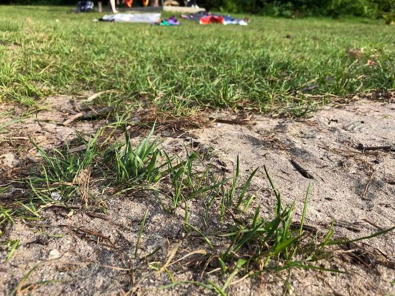 Sandy Soil Requires More Frequent Irrigation Sandy Soil Requires More Frequent Irrigation