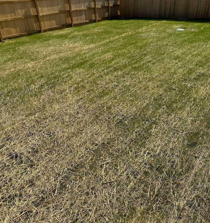 Sandy Soil Turns Straw Faster Sandy Soil Turns Straw Faster