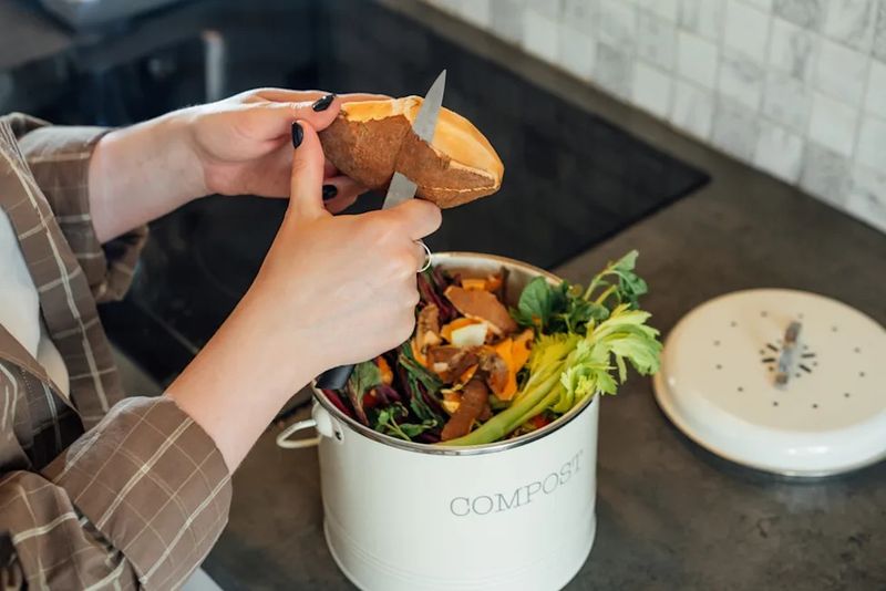 Save Kitchen Scraps For A Better Compost Pile Save Kitchen Scraps For A Better Compost Pile