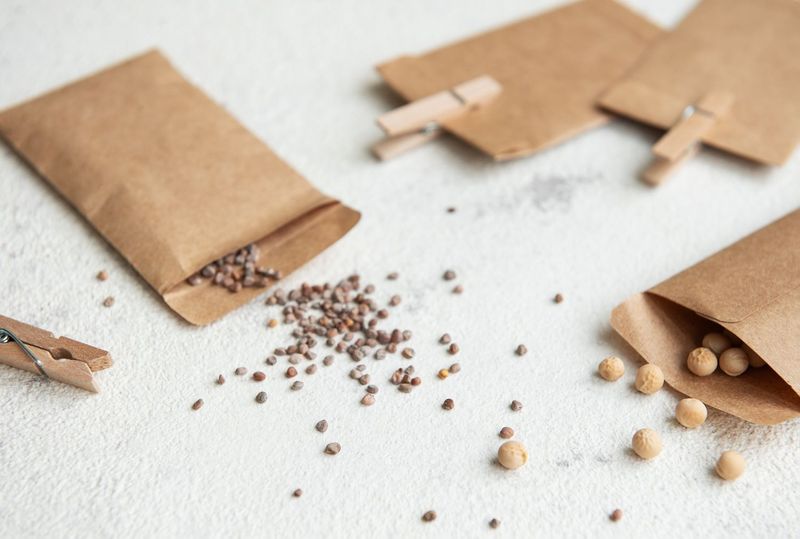 Save Seeds From Plants Worth Growing Again Save Seeds From Plants Worth Growing Again