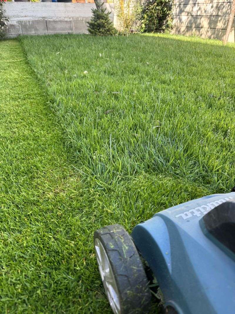 Scalping Increases Heat Stress Scalping Increases Heat Stress