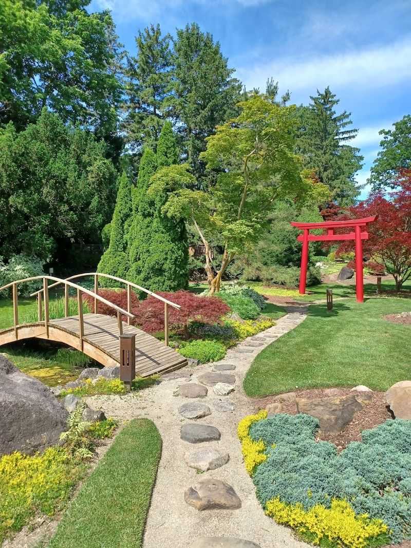 Schedel Arboretum And Gardens Hides A Summer Gem Schedel Arboretum And Gardens Hides A Summer Gem