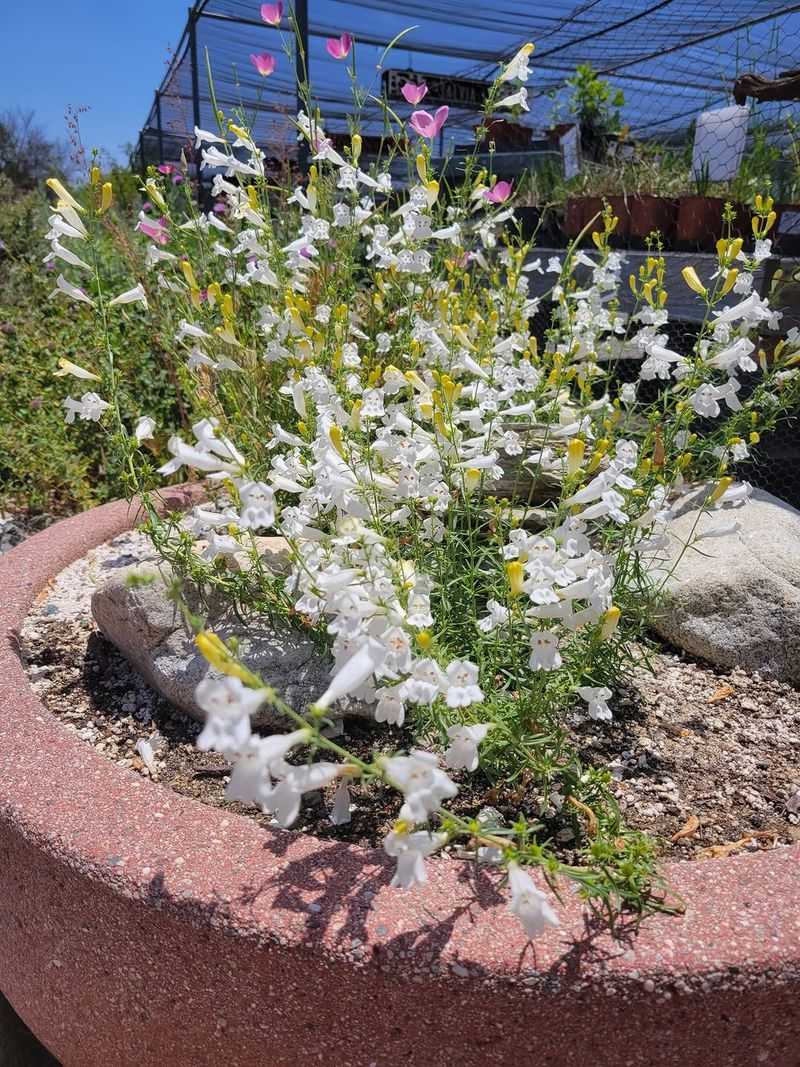 Seasonal Texture Lasts Beyond Blooms