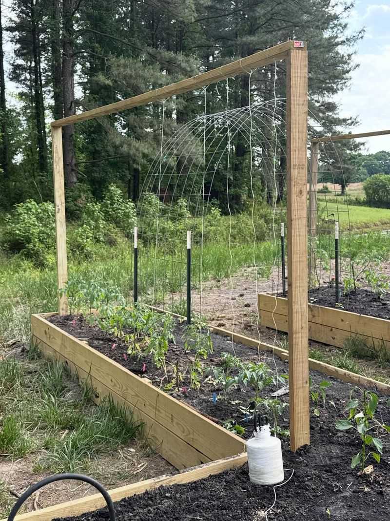 Secure Trellises Before Vines Get Twisted Secure Trellises Before Vines Get Twisted