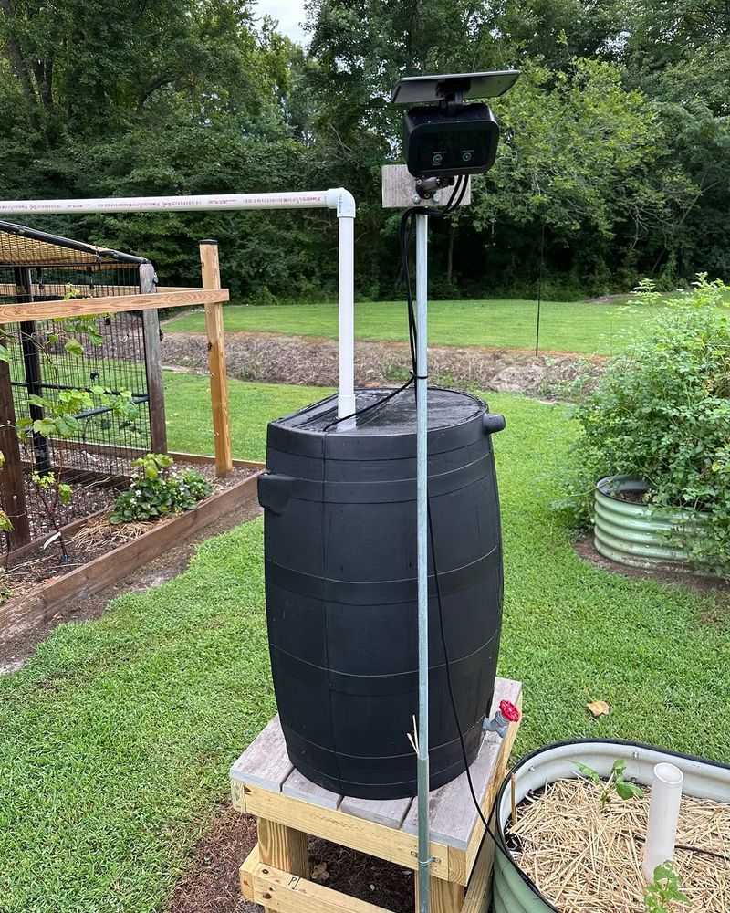 Set Up A Watering System For Containers