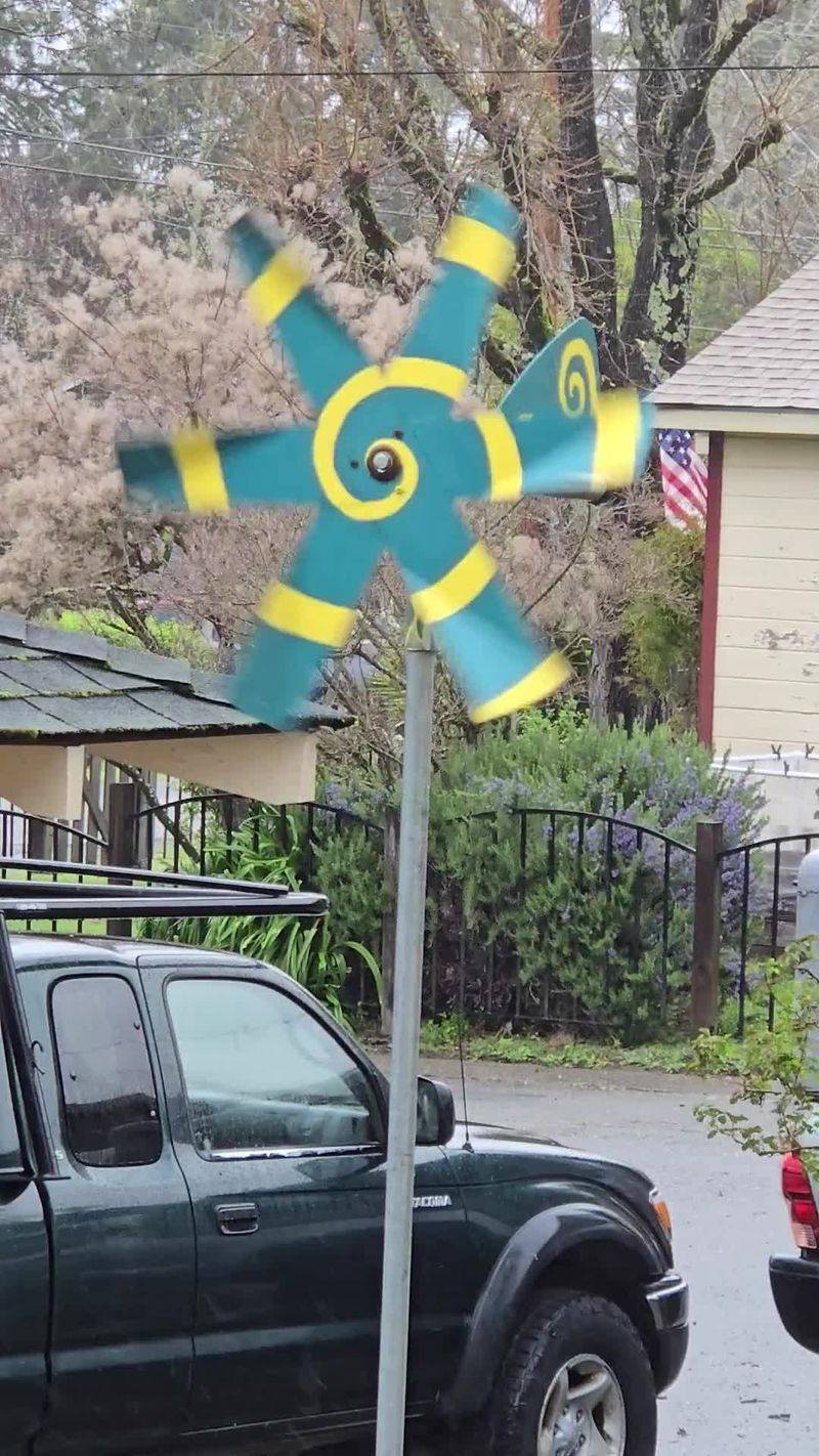 Set Up Mole-Repelling Windmills Or Pinwheels In Problem Areas