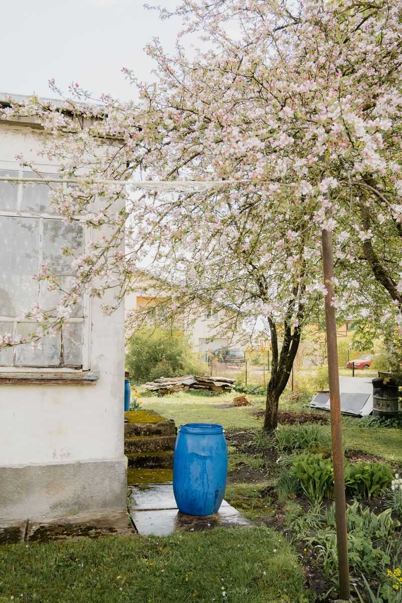 Setting Up Your Rain Barrel The Right Way