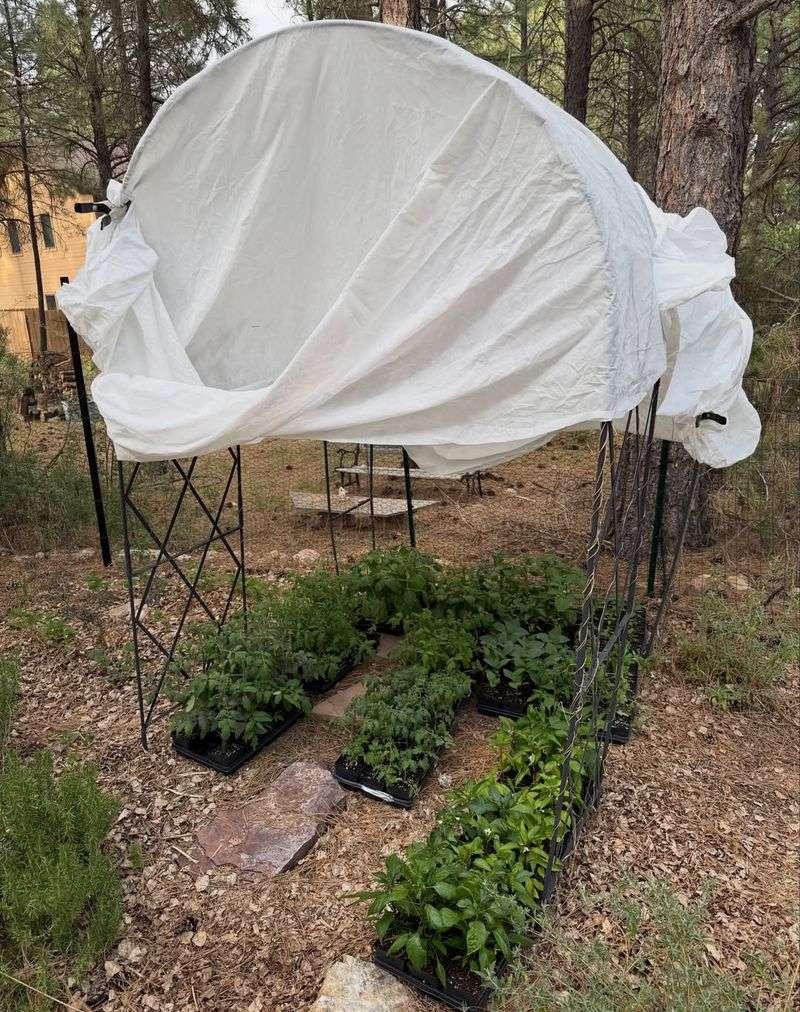 Shade Cloth And Temporary Sun Protection