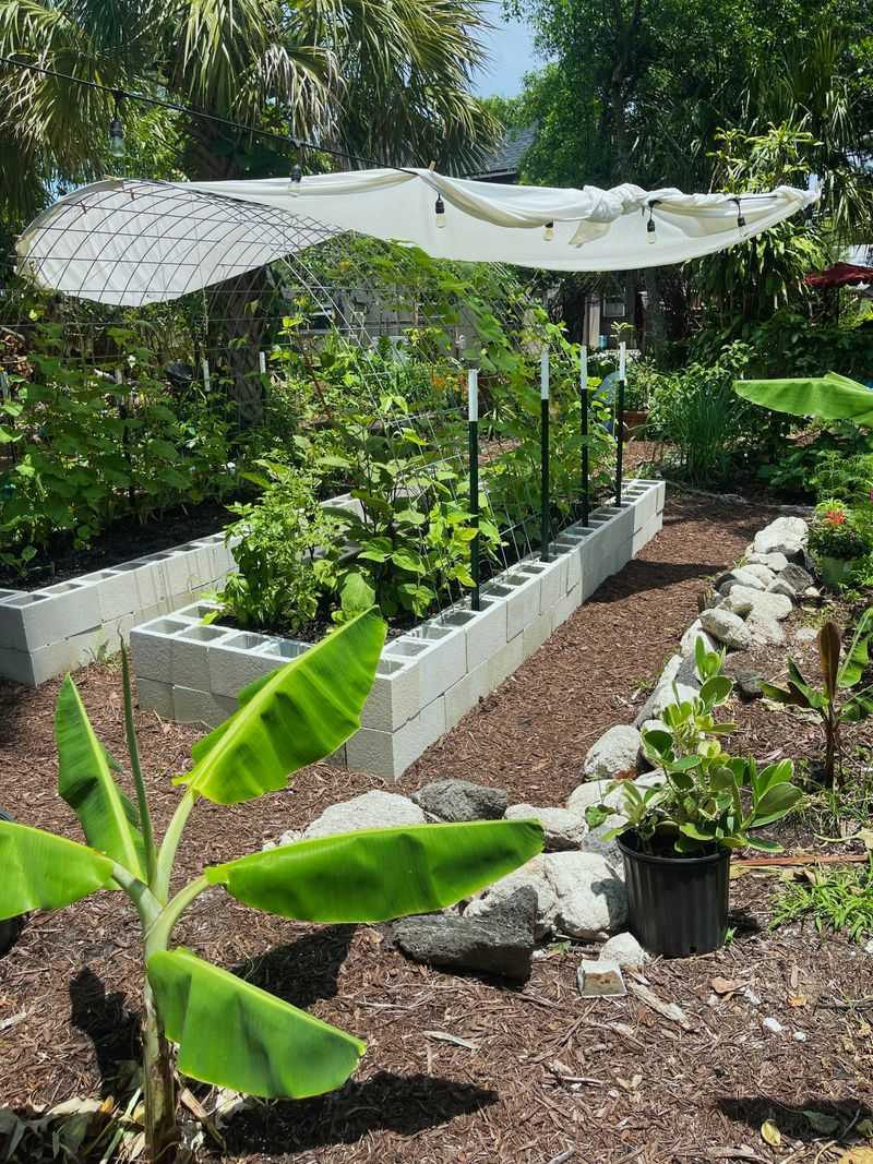 Shade Cloth Can Help Tender Vegetables And Young Plants