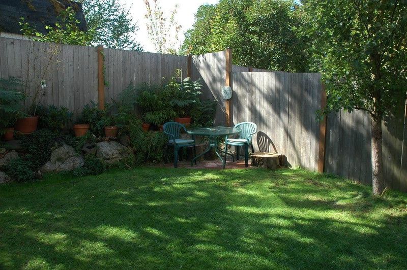 Shade Stress Thinning The Lawn Shade Stress Thinning The Lawn