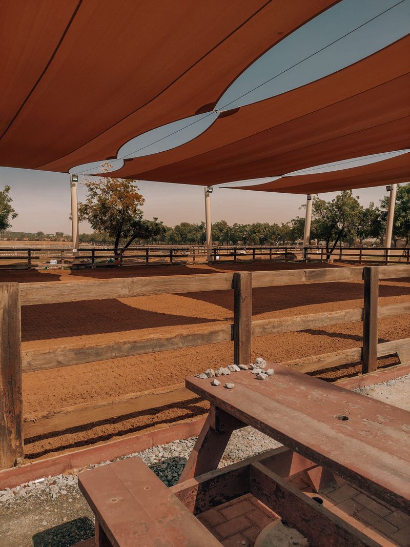 Shade Structures And Microclimates Are Not Optional In June
