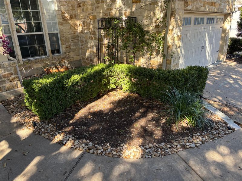 Shaded Garden Beds And Dense Shrubs Shaded Garden Beds And Dense Shrubs