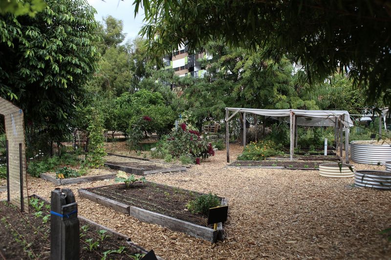 Shaded, Mulched Garden Beds