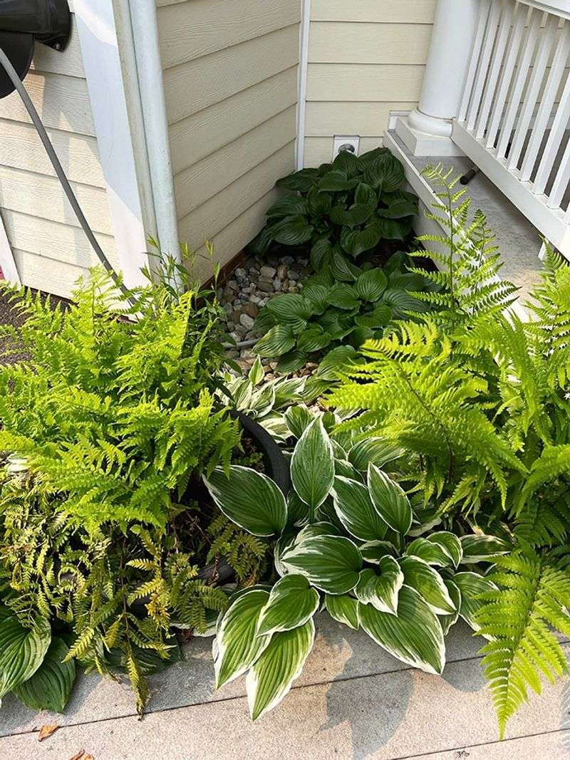 Shady Corners Stay Risky When Growth Gets Thick Shady Corners Stay Risky When Growth Gets Thick