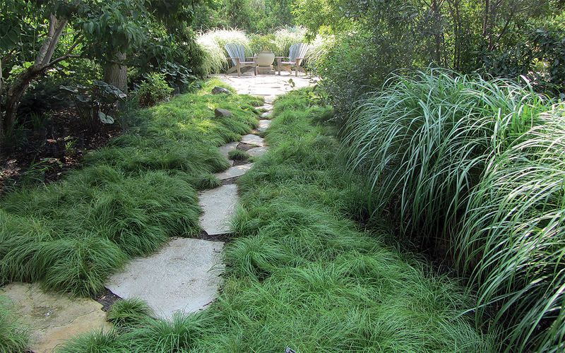 Shady Foundation Beds And Dense Groundcovers
