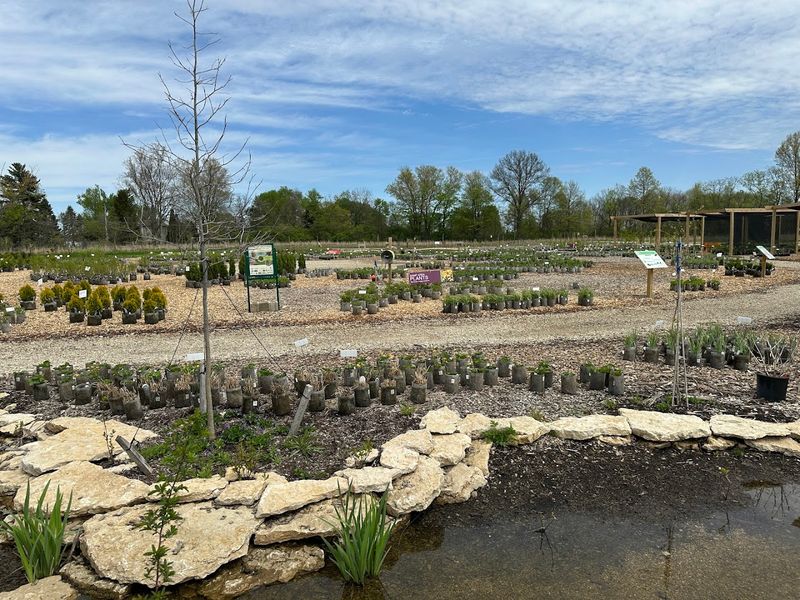 Shop A Destination Nursery Built Around Local Landscapes