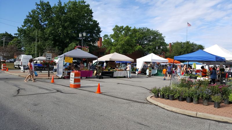 Shop Willoughby Outdoor Market For Plant It Native Shop Willoughby Outdoor Market For Plant It Native