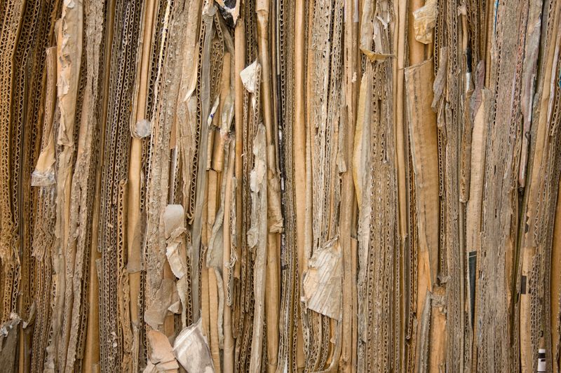 Shredded Cardboard And Newspaper