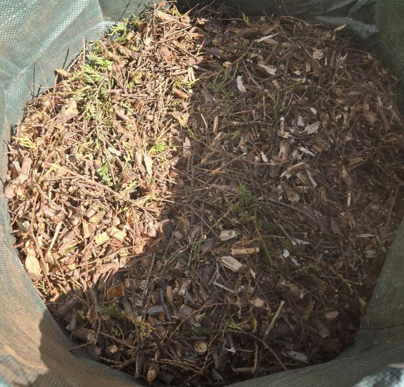 Shredded Wood Mulch Usually Wins For Weed Control