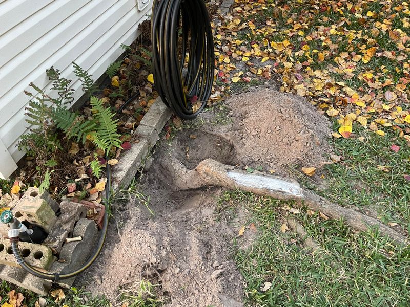 Sidewalks, Foundations, Pipes, And Driveway Damage