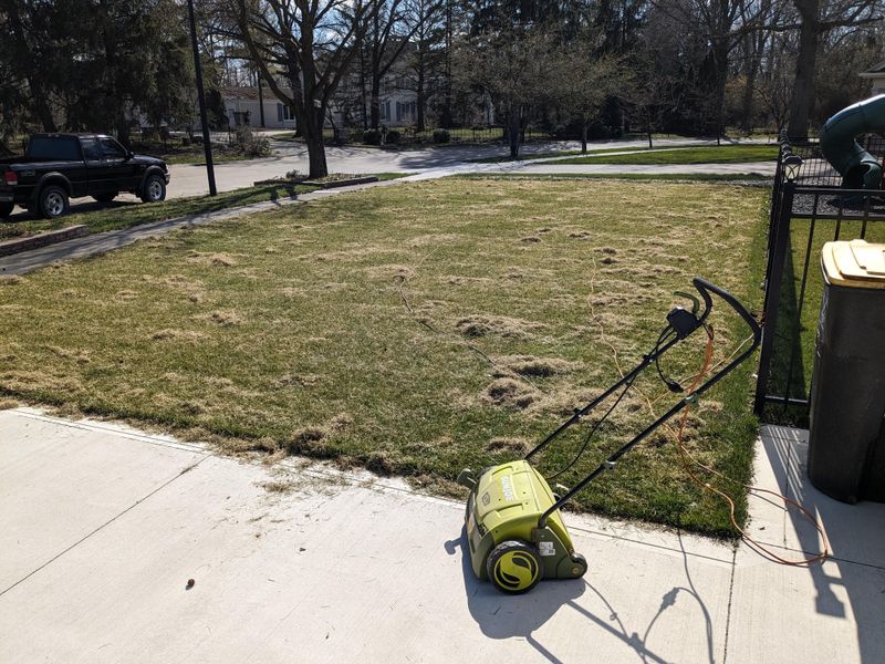 Skip Power Raking Unless The Lawn Truly Needs It
