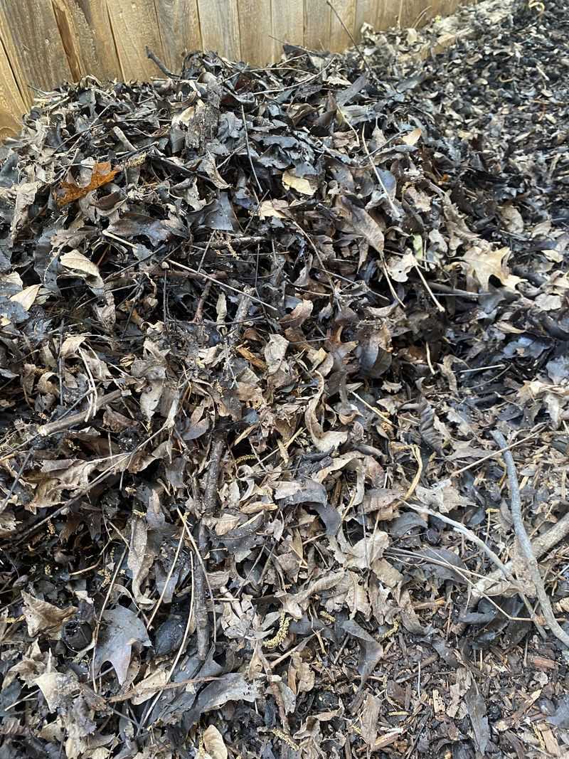 Skip Sand And Feed The Soil Skip Sand And Feed The Soil