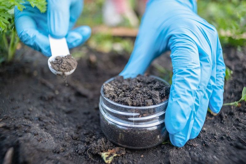 Skipping A Soil Test Skipping A Soil Test