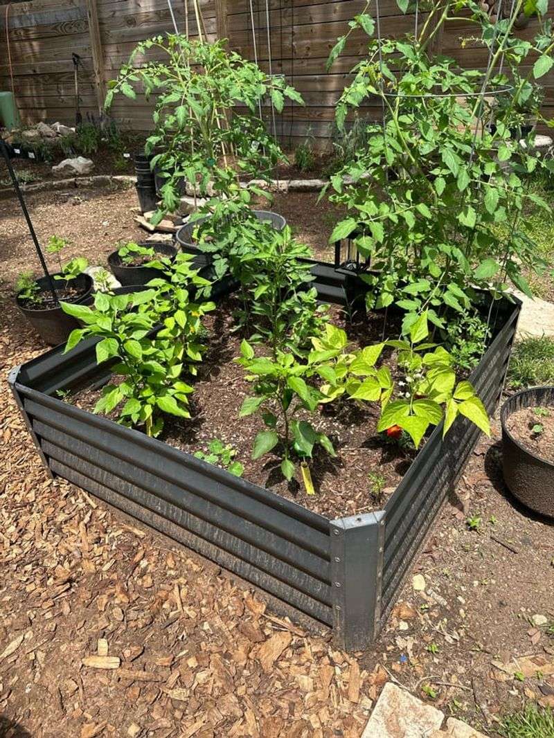 Skipping Mulch During The Hottest Part Of Summer