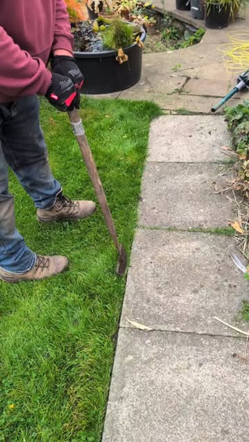 Skipping Regular Trimming Around Lawn Obstacles