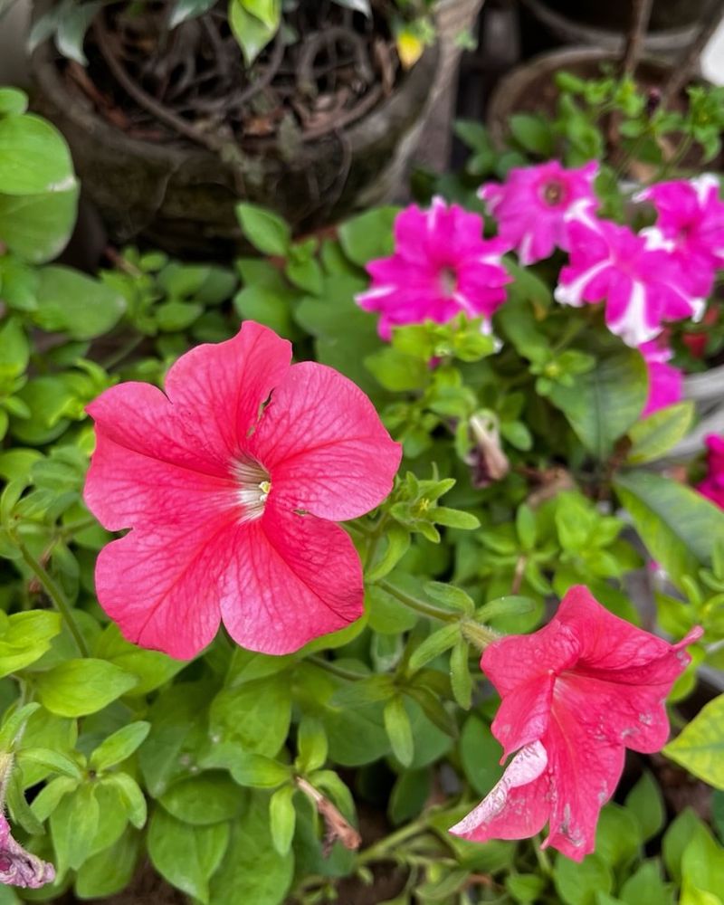 Slow Down Watering As The Season Cools Slow Down Watering As The Season Cools