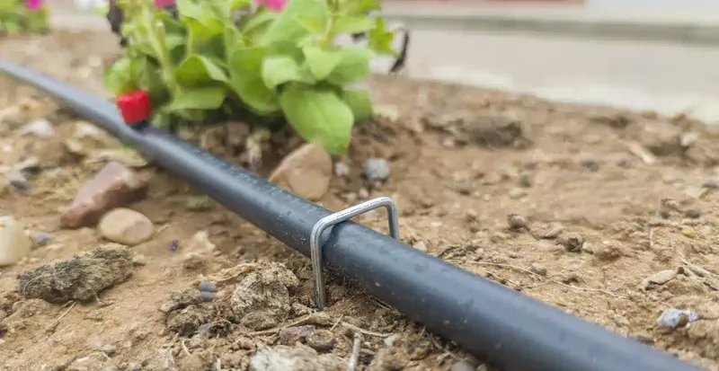 Small Leaks Waste Water Every Day