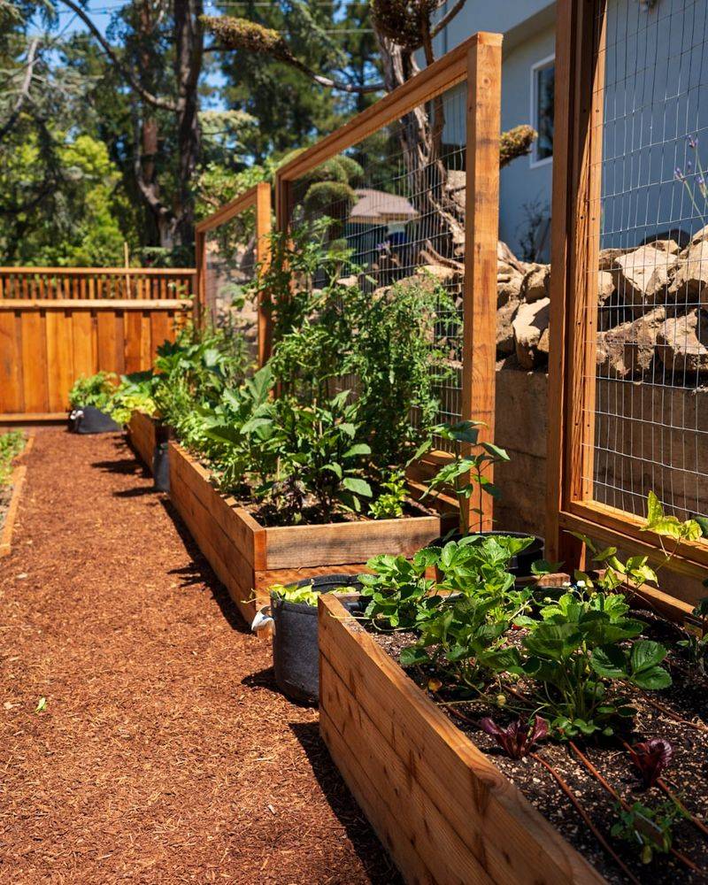 Small-Space Food Gardens Make Tiny Yards Productive