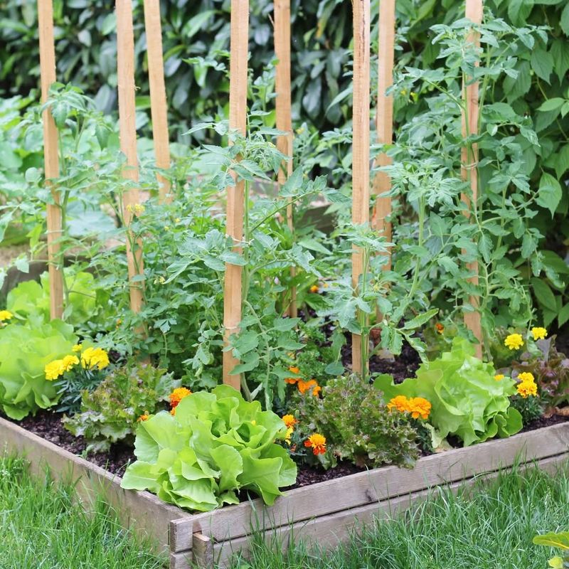 Small Spaces Can Still Produce Real Food