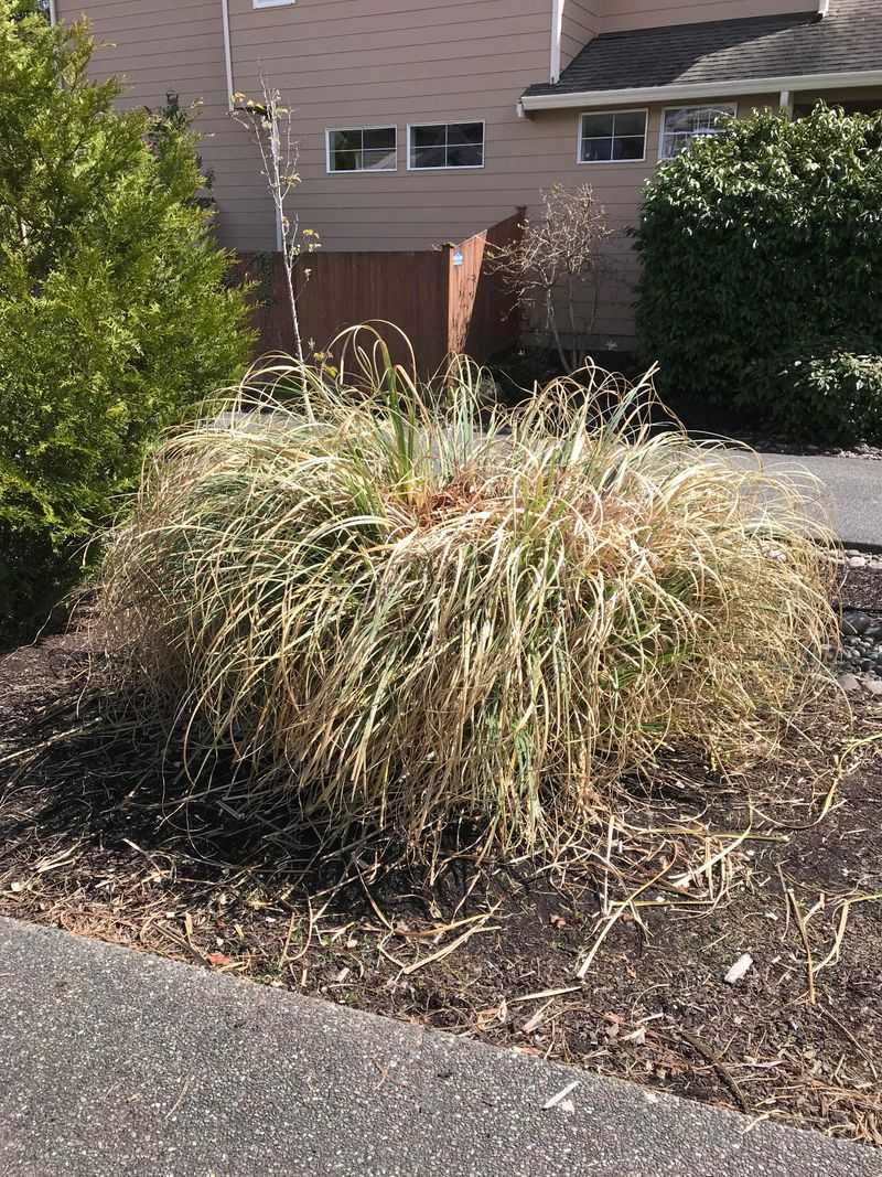 Small Yards Make The Spacing Problem Worse