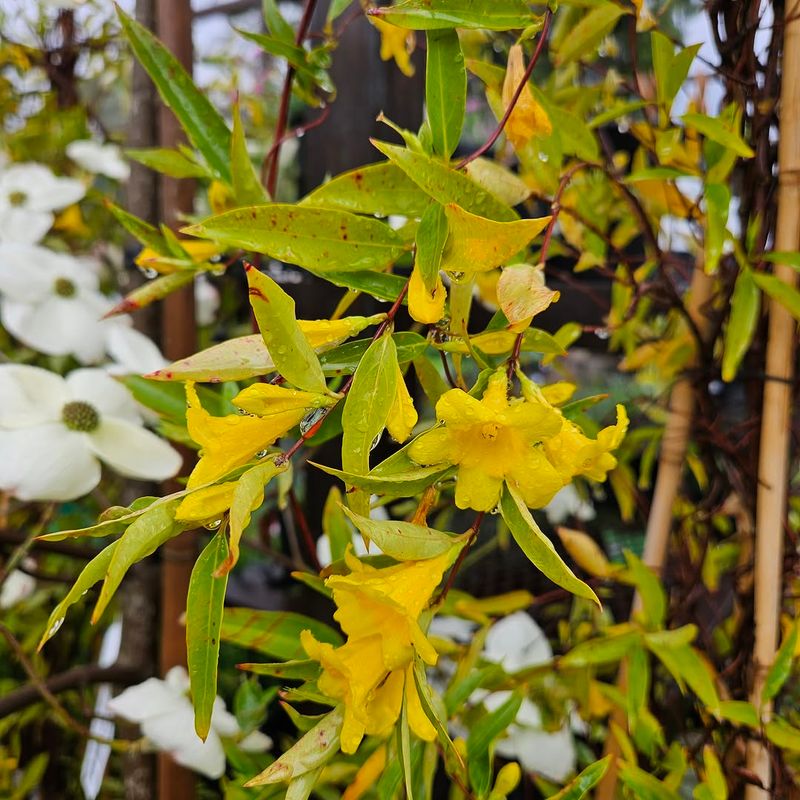 Smart Companion Planting Makes It Even Better Smart Companion Planting Makes It Even Better