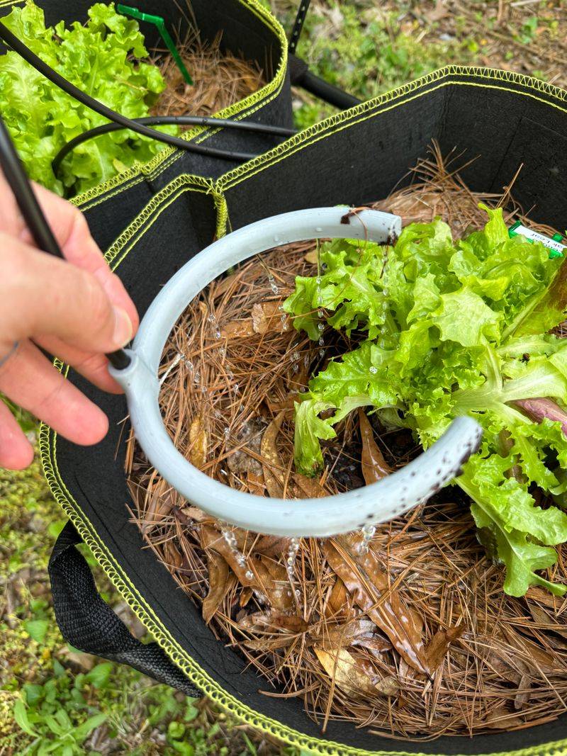 Smart Irrigation Starts At The Root Zone, Not The Leaves