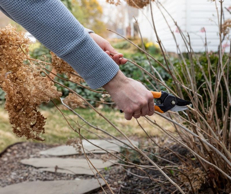 Smart Pruning Timing and Technique