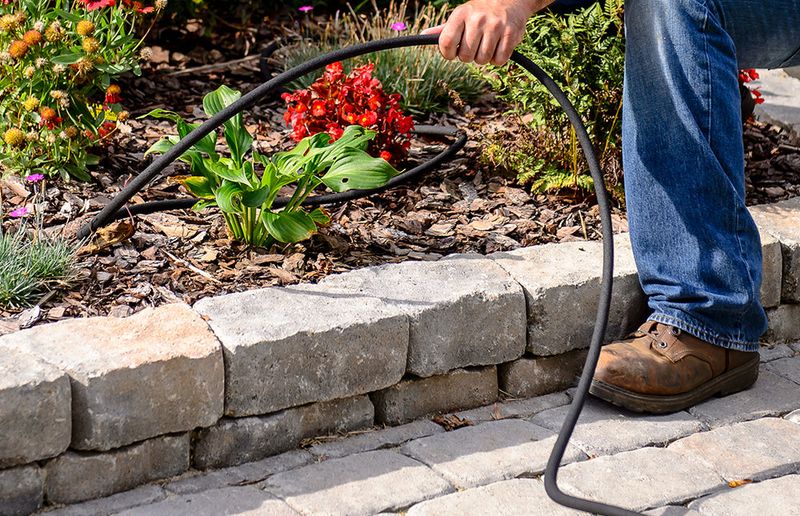 Soak Garden Beds Deeply, Not Lightly Every Day