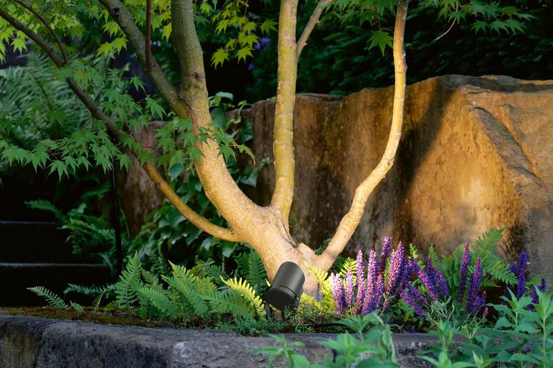 Softer Lighting Helps Night Visitors Stay On Course
