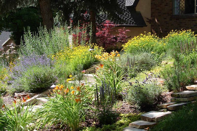 Softer Yard Edges Give Fireflies Better Shelter Softer Yard Edges Give Fireflies Better Shelter