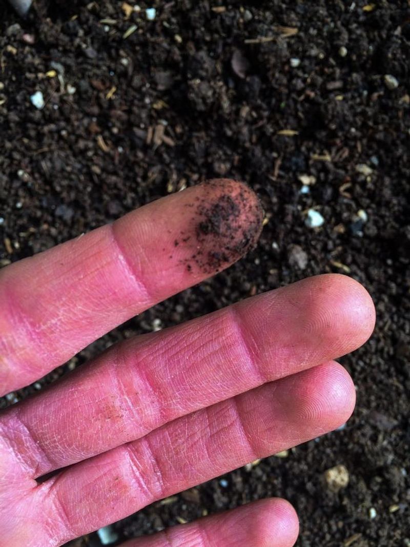 Soil Checks Work Better Than Guessing Soil Checks Work Better Than Guessing
