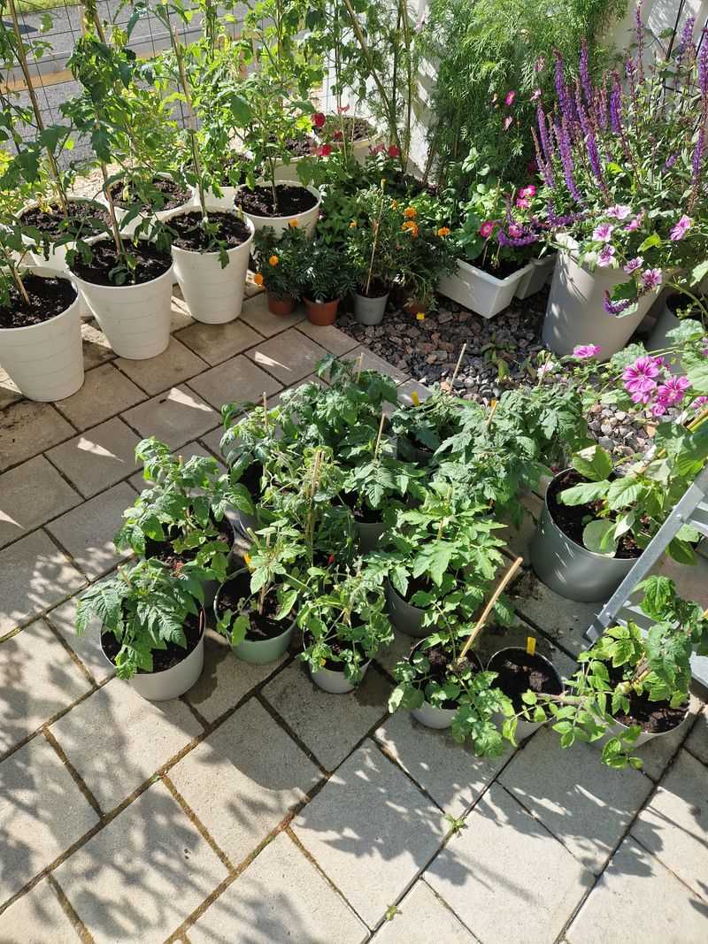Soil Conditions Stay Easier To Manage