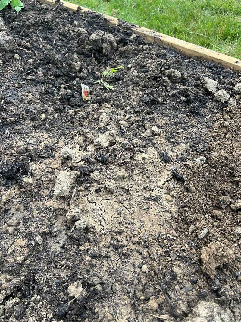 Soil Crusts Into A Hard Surface Soil Crusts Into A Hard Surface