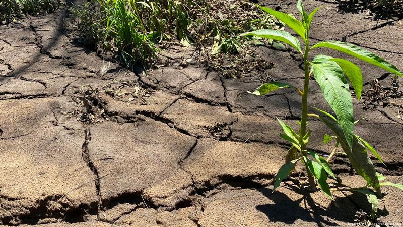 Soil Dries Faster Than Expected