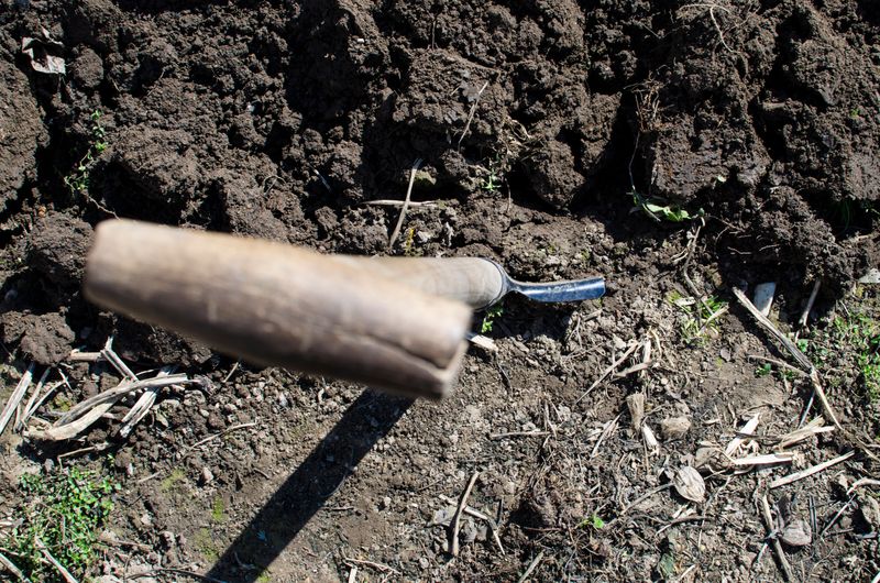 Soil Is Disturbed And Loosened