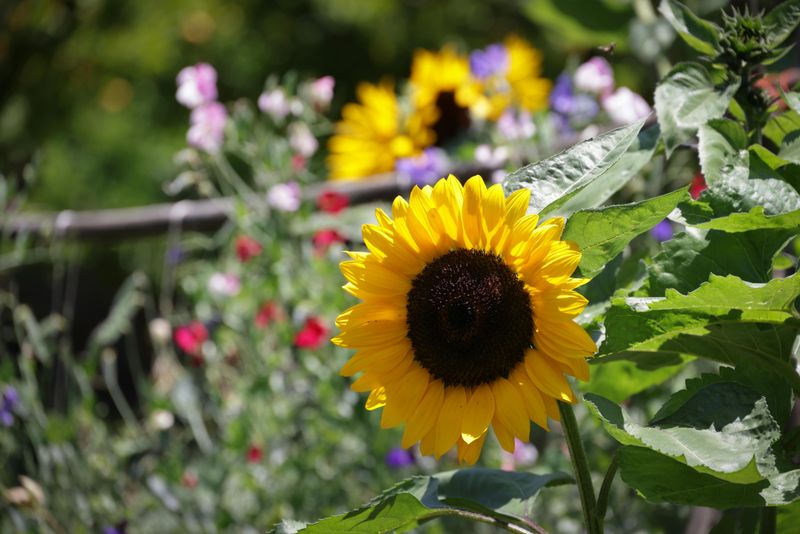 Soil Temperature Is The Real Signal To Watch