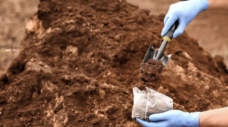 Soil Testing Saves Money At The Nursery Soil Testing Saves Money At The Nursery